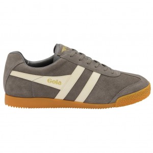 Gola Classics Harrier Suede Sneakers Ash Ecru Hungary | JIO-724319