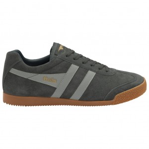 Gola Classics Harrier Suede Sneakers Világos Szürke Sötétkék Hungary | KTZ-432967